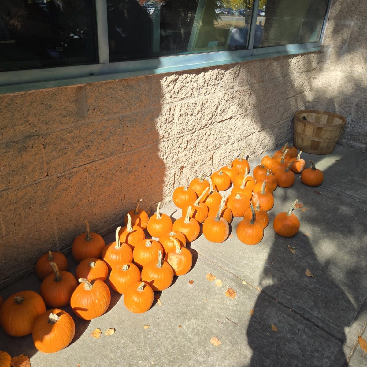 Photo Gallery: Pumpkin Picking and Painting Kicks Off Halloweek at Grant Campus