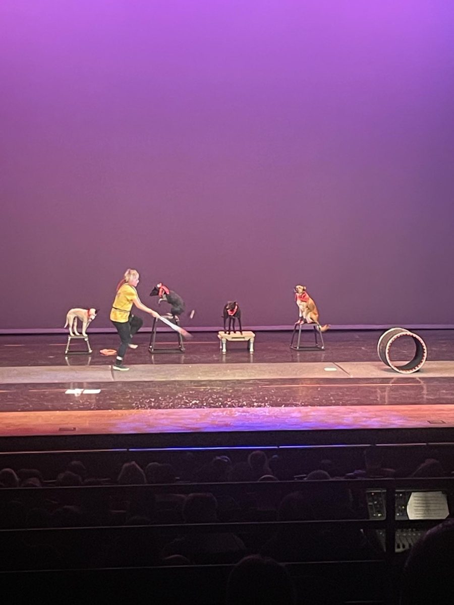 SCCC’s Pup-tastic Canine Circus